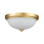 Потолочный светильник для ванны Feiss Malibu FE-MALIBU-F-BATH-BB