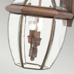 Настенный фонарь Quoizel Newbury QZ-NEWBURY2-L-AC