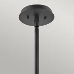 Подвесной светильник Hinkley Lotus QN-LOTUS-P-BLK