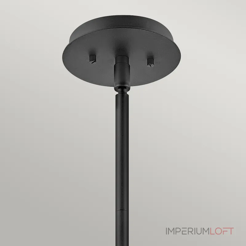 Подвесной светильник Hinkley Lotus QN-LOTUS-P-BLK