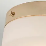 Потолочный светильник для ванной комнаты Elstead Lighting Tamar TAMAR-F-L-PG