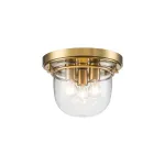 Потолочный светильник для ванной Quoizel Whistling QZ-WHISTLING-F-BB