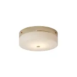 Потолочный светильник для ванной комнаты Elstead Lighting Tamar TAMAR-F-L-PG