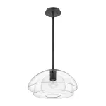 Подвесной светильник Hinkley Lotus QN-LOTUS-P-BLK