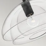 Подвесной светильник Hinkley Lotus QN-LOTUS-P-BLK