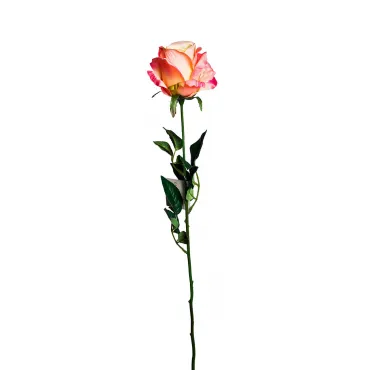 Роза нежно-розовая 8J-11GS0069-2 от ImperiumLoft