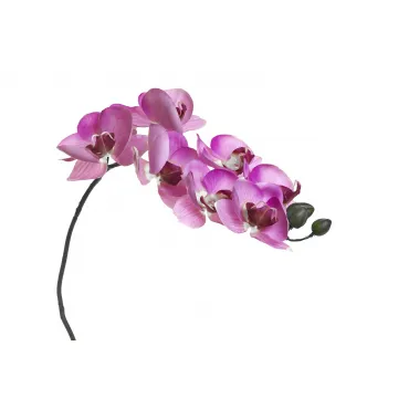Орхидея розовая 8J-1219S0004 от ImperiumLoft