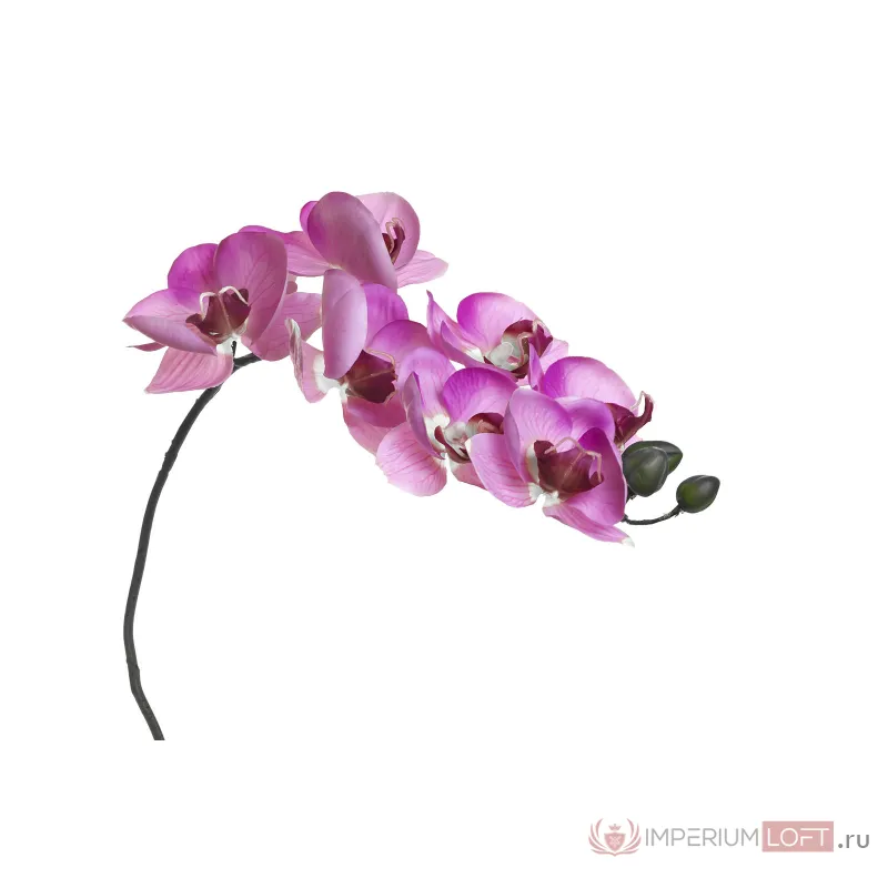 Орхидея розовая 8J-1219S0004 от ImperiumLoft