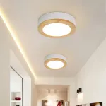 Потолочная люстра WUDDA D50 Красный от ImperiumLoft