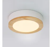 Потолочная люстра WUDDA D50 Белый