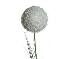 Алиум малый кремовый 8J-13RS0012 - 139725-53