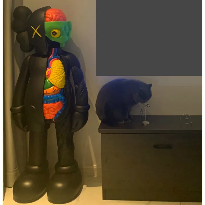 Дизайнерская скульптура кукла Kaws LaLume-SKT00197  от ImperiumLoft