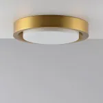 Потолочный светильник BUTTON GOLD D32 от ImperiumLoft