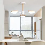 Подвесная люстра SVEGGEN 6 Черный от ImperiumLoft