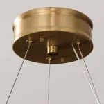 Светодиодная люстра с кольцевым каркасом SELVI B D100 от ImperiumLoft