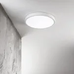 Потолочный светильник Ideal Lux RAY 327686