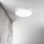 Потолочный светильник Ideal Lux RAY 318264