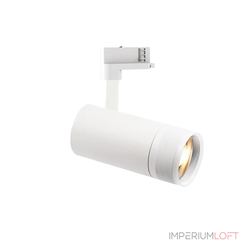 Трековый светильник Ideal Lux EOS 302973