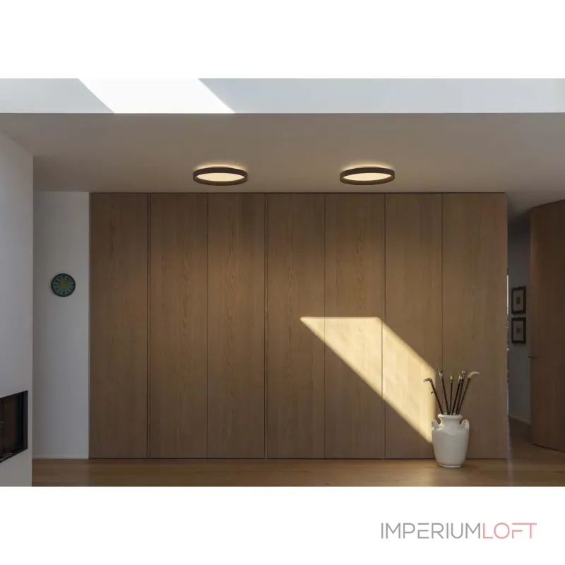 Потолочный светильник Ideal Lux FLY 306599
