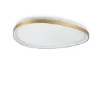 Потолочная люстра Ideal Lux GEMINI 372112