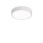 Потолочный светильник Ideal Lux RAY 318264