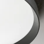 Потолочный светильник Ideal Lux FLY 306636