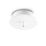 Потолочная чаша Ideal Lux Rosone 122823