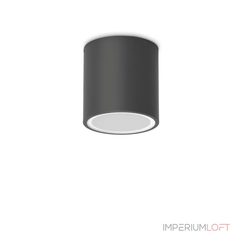 Уличный потолочный светильник Ideal Lux Techo 318141