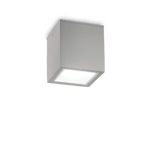 Уличный потолочный светильник Ideal Lux Techo 326887