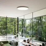 Потолочный светильник Ideal Lux FLY 341255