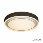 Потолочная люстра iLedex Summery B6233-91W/520