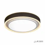 Потолочная люстра iLedex Summery B6233-91W/520