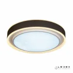 Потолочная люстра iLedex Summery B6233-91W/520