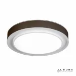 Потолочная люстра iLedex Summery B6233-91W/520