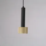 Подвесной светильник iLEDEX Delta 2362-1 BK+BR