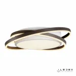 Потолочная люстра iLedex Summery B6308-101W/620