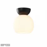 Светильник потолочный iLamp Mono C6079-1 BK+WH
