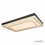 Потолочная люстра iLedex Summery B6317-226W/930*630