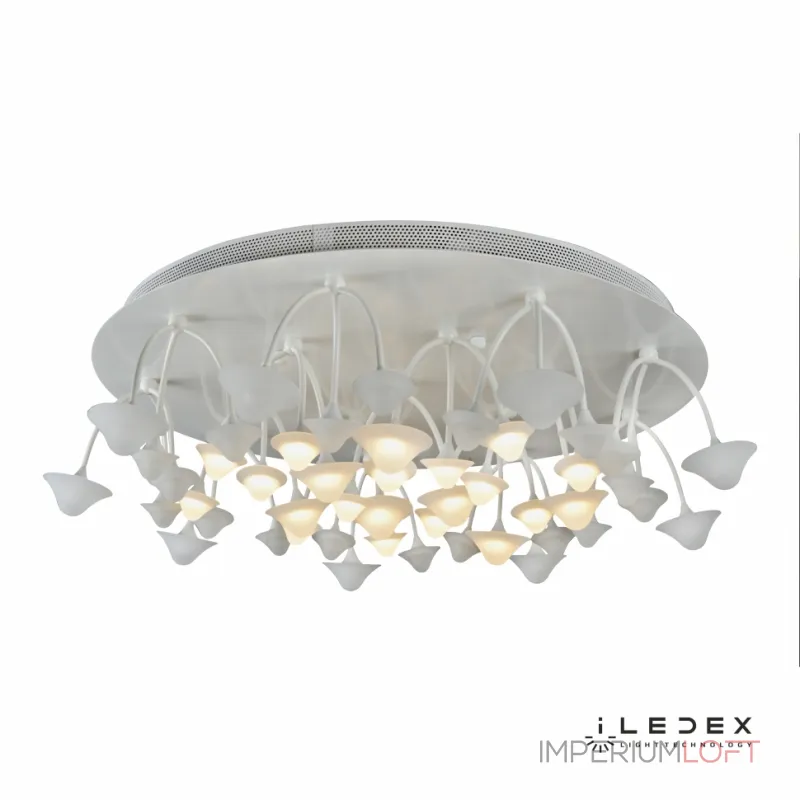 Потолочная люстра iLedex Darner C50068/16Y