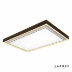 Потолочная люстра iLedex Summery B6233-196W/930*630