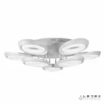 Потолочная люстра iLedex Fancy FS-011-X9 216W