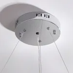 Подвесная люстра CONCORDIA RING D60 от ImperiumLoft