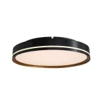 Потолочный светильник C0527-400A Black and Gold
