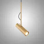 Подвесной светильник Сamera Gold с поворотным плафоном