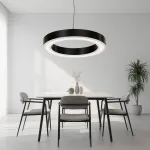 Подвесная люстра Light Ring Horizontal D40 Чёрный с акриловым плафоном