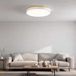 Потолочный светильник DISC DH D48 White с акриловым плафоном