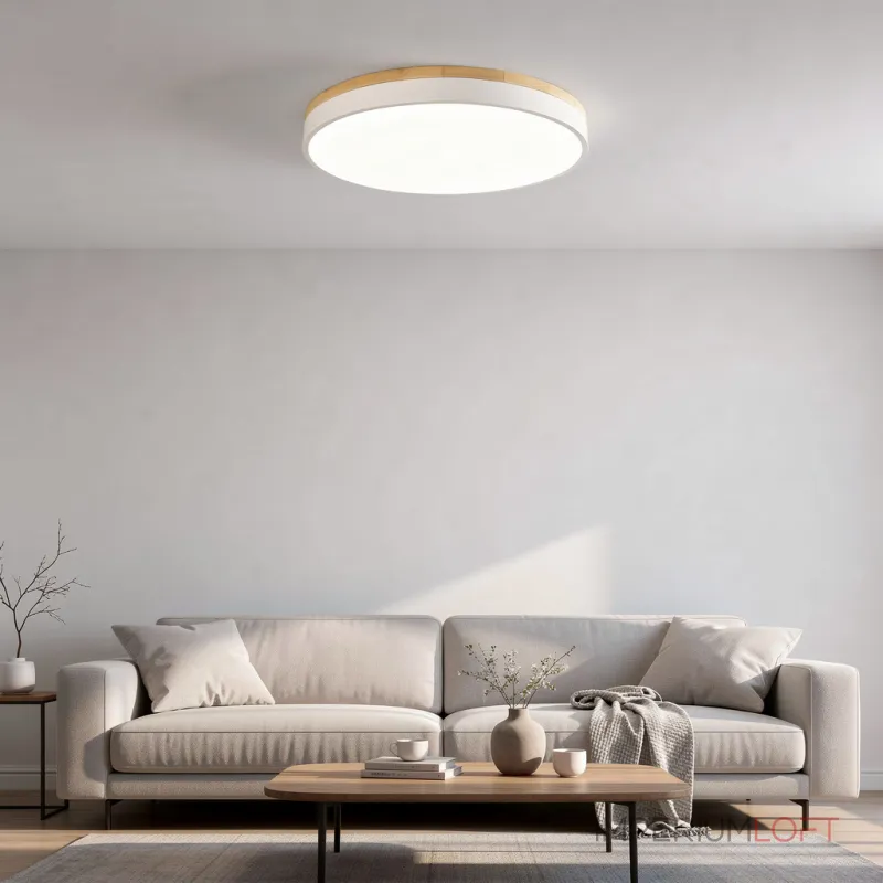 Потолочный светильник DISC DH D48 White с акриловым плафоном