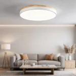Потолочный светильник DISC DH D63 White с акриловым плафоном