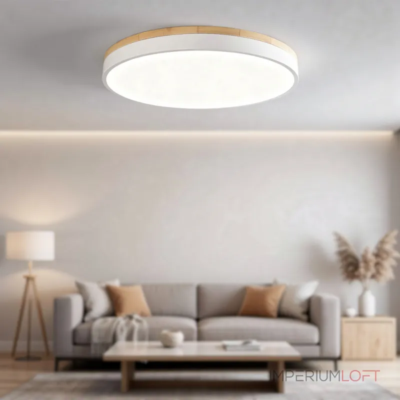 Потолочный светильник DISC DH D63 White с акриловым плафоном