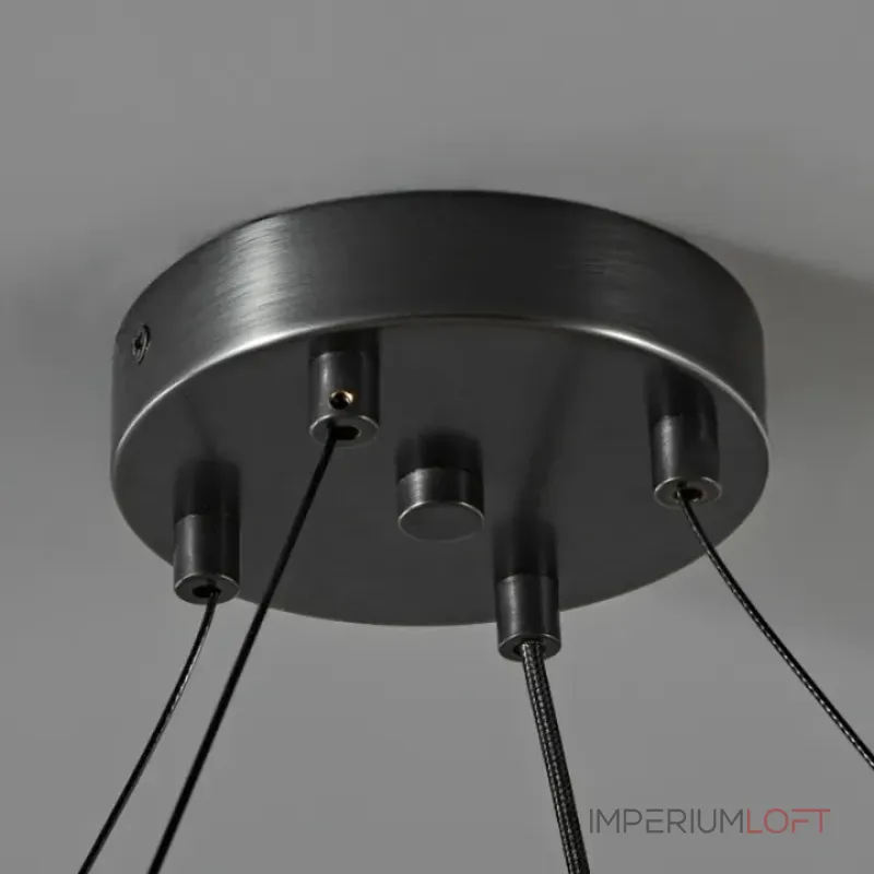 Кольцевые люстры и светильники EMBRET RING P8